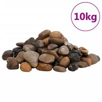 vidaXL Pietricele lustruite, 10 kg, culori mixte, 2-5 cm