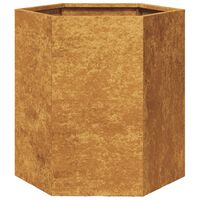 vidaXL Jardinieră de grădină 46x40x45 cm oțel corten hexagonal