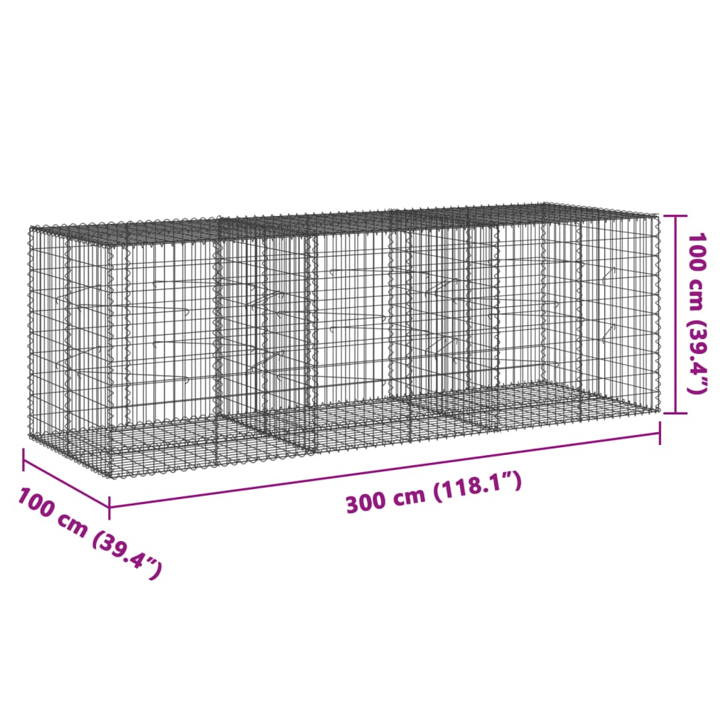 vidaXL Coș gabion cu capac, 300x100x100 cm, fier galvanizat