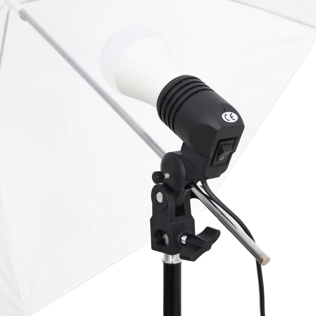 vidaXL Set studio foto cu set de lumini, fundal și reflector