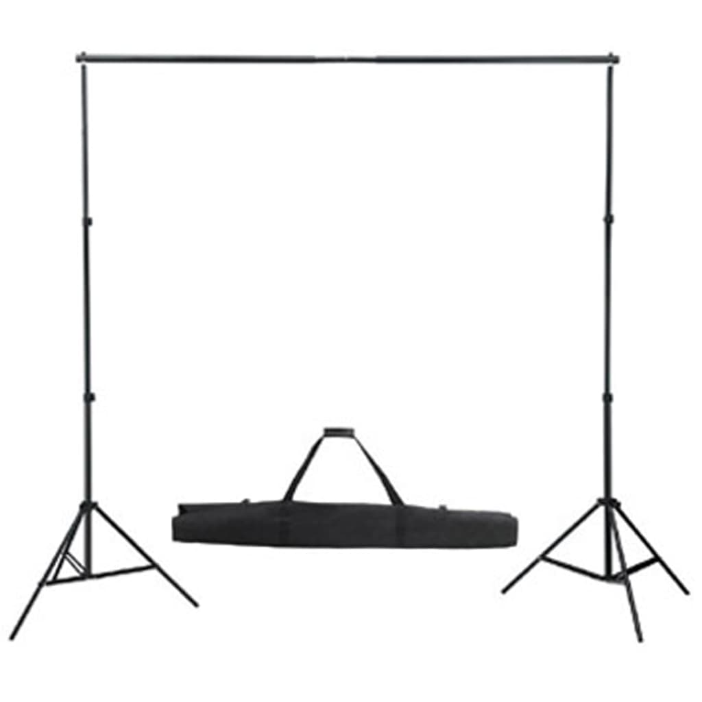 vidaXL Kit studio foto, fundal alb, 600 x 300 cm & lumini